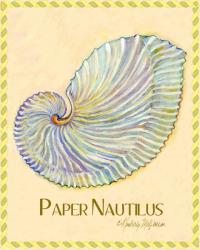 Paper Nautilus, 2011, (oil on canvas) | Obraz na stenu