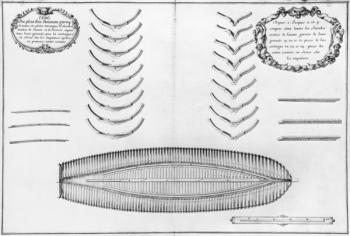 Plan of a vessel with all its floor plates and forks, illustration from the 'Atlas de Colbert', plate 8 (pencil & w/c on paper) (b/w photo) | Obraz na stenu