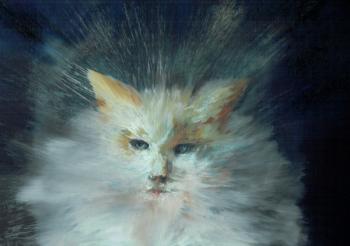 Monty fluffball, 2015, (oil on canvas board) | Obraz na stenu