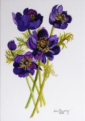 Anemones, 2011, (w/c on paper) | Obraz na stenu