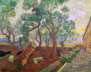The Garden of St. Paul's Hospital at St. Remy, 1889 (oil on canvas) | Obraz na stenu