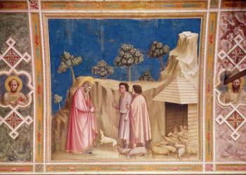Joachim among the Shepherds, c.1305 (fresco) (see also 165213) | Obraz na stenu