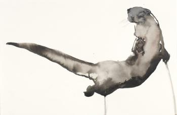 Back Awash (Otter) (ink & w/c on paper) | Obraz na stenu