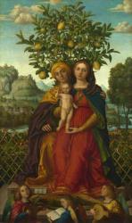 The Virgin and Child with St Anne, 1510-18 (oil on canvas) | Obraz na stenu