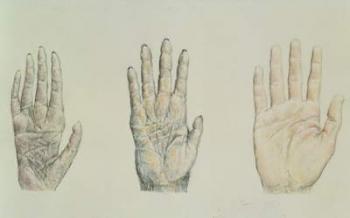 Hands of a primate and a human (pencil on paper) | Obraz na stenu