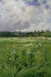 Haymaking (oil on canvas) | Obraz na stenu