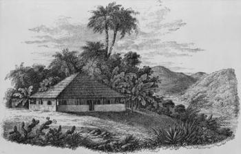 A Planter's House in Brazil (lithograph) (b/w photo) | Obraz na stenu