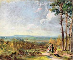 Hampstead Heath Looking Towards Harrow, 1821 (oil on paper laid on canvas) | Obraz na stenu