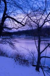 Purple Central Park Winter | Obraz na stenu