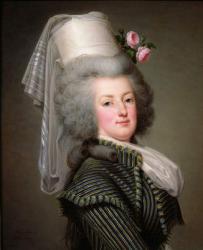 Marie-Antoinette (1755-93) of Habsbourg-Lorraine, Archduchess of Austria, Queen of France and Navarre, 1788 (oil on canvas) | Obraz na stenu