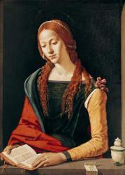 St. Mary Magdalene, 1500-10 (oil on panel) | Obraz na stenu