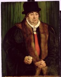 Portrait of a Munich Aristocrat, 1559 (oil on panel) | Obraz na stenu