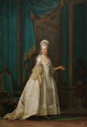 The Dowager Queen Juliane Marie of Denmark, 1776 (oil on canvas) | Obraz na stenu