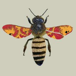 Honey Bee, 2010 (digital) | Obraz na stenu