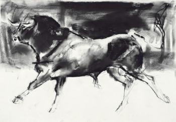 Black Bull (charcoal on paper) | Obraz na stenu