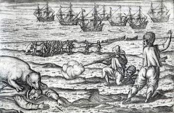 Sailors attacked by polar bears, illustration from 'Diarium Nauticum, seu vera descriptio trium navigationum admirandarum...' by Gerrit de Veer, 1598 (engraving) | Obraz na stenu