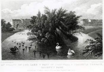 An island on the lake and part of Cornwall and Clarence Terrace, Regent's Park (engraving) | Obraz na stenu