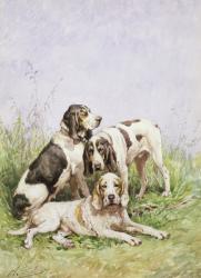 A Group of French Hounds | Obraz na stenu