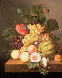 Still life with fruit | Obraz na stenu