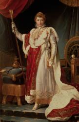 Napoleon in Coronation Robes, c.1804 | Obraz na stenu