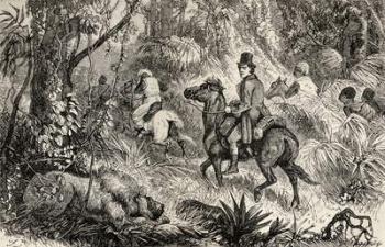 Mungo Park encountering a Lion whilst on his way to the Village of Modiboo, 1825 (woodcut) | Obraz na stenu