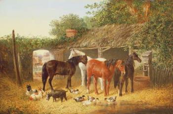 Farmyard Companions | Obraz na stenu