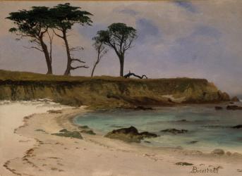 Sea Cove, c.1880-90 (oil on wood) | Obraz na stenu