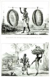 Head baskets and a poultry seller, from 'Voyage Pittoresque et Historique au Bresil', (litho) (b/w photo) | Obraz na stenu