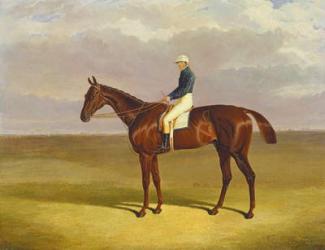 'Margrave' with James Robinson Up, 1833 (oil on canvas) | Obraz na stenu