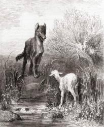 The Wolf and the Lamb, from a late 19th century edition of 'Fables de La Fontaine' (wood engraving) | Obraz na stenu