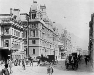Cape Town: New Adderley Street, c.1914 ( b/w photo) | Obraz na stenu