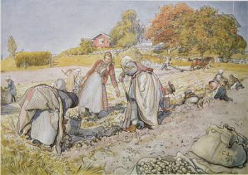Digging Potatoes, 1905 | Obraz na stenu