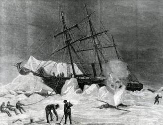'Pandora' nipped in the ice, Melville Bay 24th July, from 'The Illustrated London News', 1876 (engraving) | Obraz na stenu