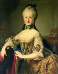 Archduchess Maria Elisabeth Habsburg-Lothringen (1743-1808), sixth child of Empress Maria Theresa of Austria (1717-80) and Emperor Francis I (1708-65) | Obraz na stenu