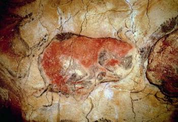 Bison from the Altamira Caves, Upper Paleolithic, c.15000-8000 BC (cave painting) | Obraz na stenu