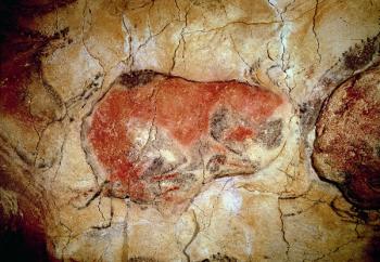 Bison from the Altamira Caves, Upper Paleolithic, c.15000-8000 BC (cave painting) | Obraz na stenu