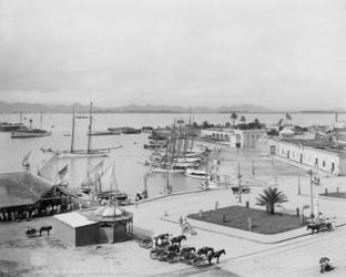 La Marina, San Juan, Puerto Rico, c.1903 (b/w photo) | Obraz na stenu