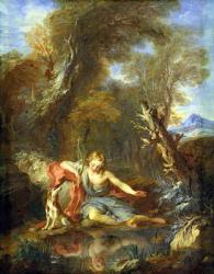Narcissus, 1728 (oil on canvas) | Obraz na stenu