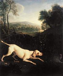Louis XIV's Dog, Tane (oil on canvas) | Obraz na stenu