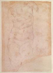 Study of a Female Nude (black chalk on paper) | Obraz na stenu