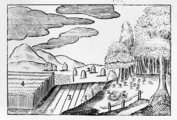 Fruits of the Earth, 1658 (woodcut) | Obraz na stenu