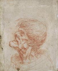 Caricature Head Study of an Old Man, c.1500-05 (red chalk on paper) | Obraz na stenu