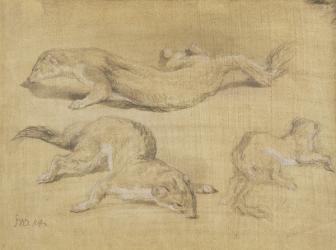 Ferrets (black chalk heightened with white on paper) | Obraz na stenu