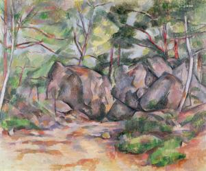 Woodland with Boulders, 1893 (oil on canvas) | Obraz na stenu