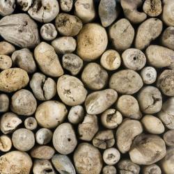 Purpose, 2010, driftwood on wood | Obraz na stenu