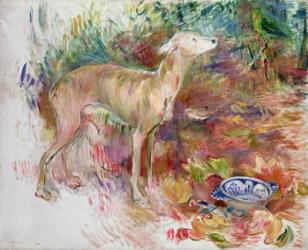 Laerte the Greyhound, 1894 (oil on canvas) | Obraz na stenu