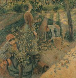 The Apple Pickers, 1886 (oil on canvas) | Obraz na stenu