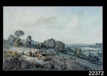 The Valley of the Stour, looking towards East Bergholt, 1880 (pencil, pen and ink and watercolour on paper) | Obraz na stenu