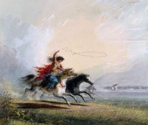 Shoshone woman catching a horse, 1837 (w/c on paper) | Obraz na stenu
