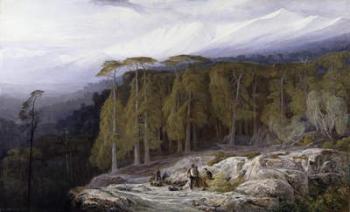 The Forest of Valdoniello, Corsica, 1869 (oil on canvas) | Obraz na stenu
